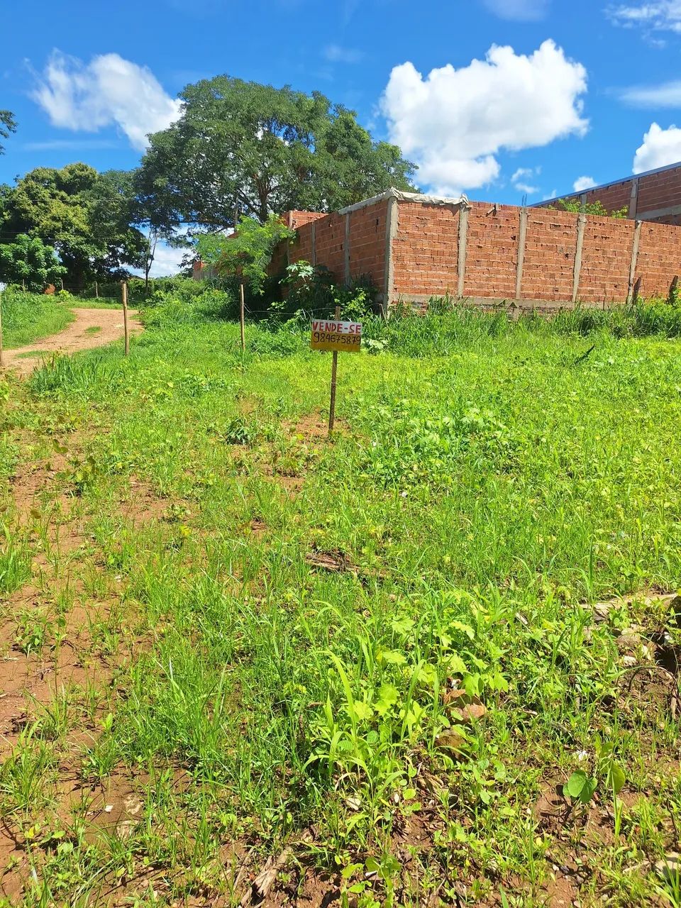 Terreno - Foto 4