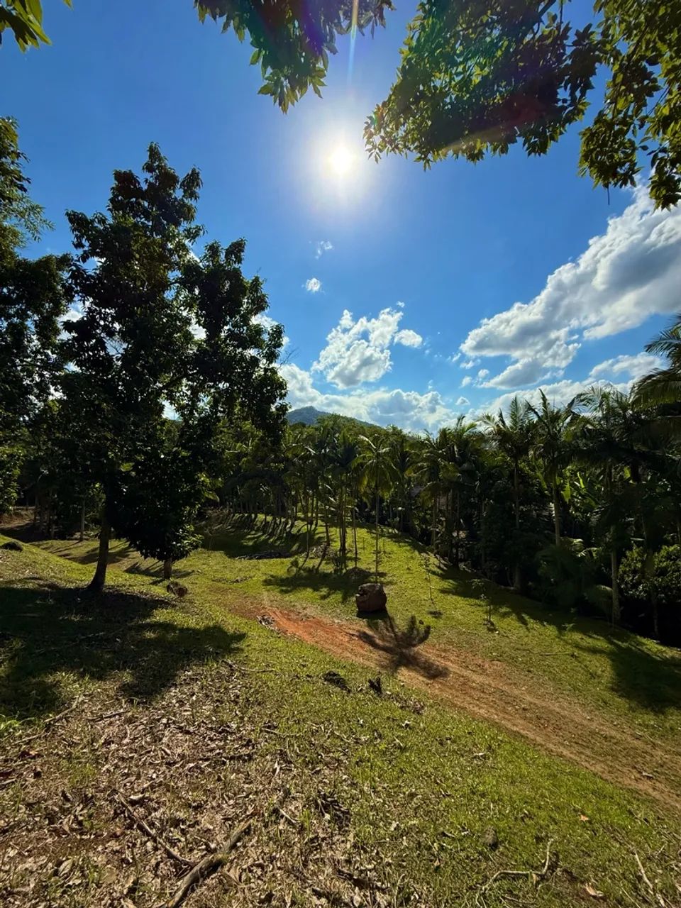 6.426m2 no Centro de Pomerode - Foto 2