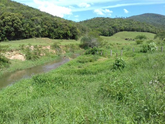 Terreno em São Pedro de Alcântara - Foto 11