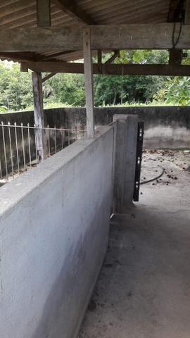 Sítio Município de Goiás Velho - Foto 13