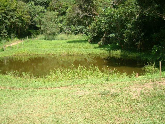 Linda fazenda porteira fechada - Foto 5