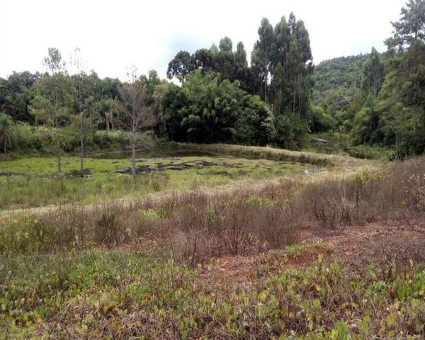 Sítio - Foto 16