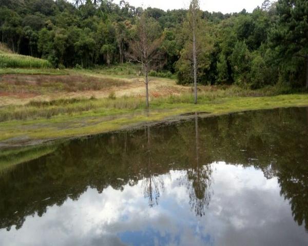 Sítio - Foto 11