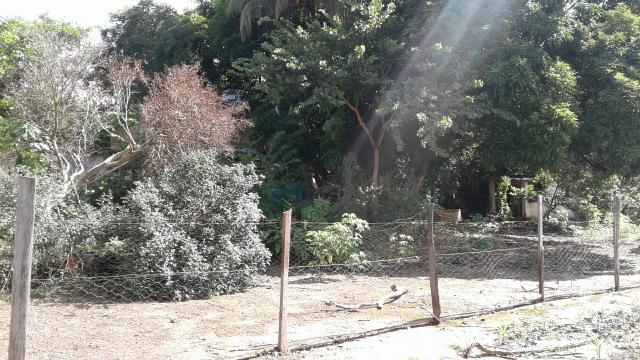 Ótima oportunidade vende ou troca propriedade, (chacara),. tem escritura ok,, - Foto 5