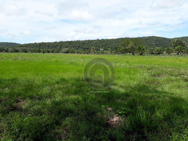 Chacara 40 hectares em mimoso - Foto 11