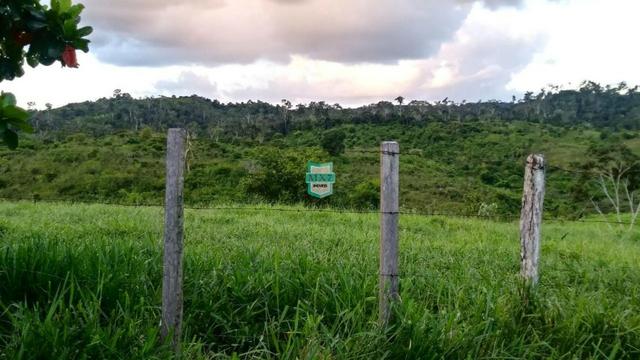 Itagibá. Fazenda pecuária de 375 Hectares com toda infraestrutura. - Foto 15