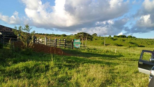 Itagibá. Fazenda pecuária de 375 Hectares com toda infraestrutura. - Foto 5