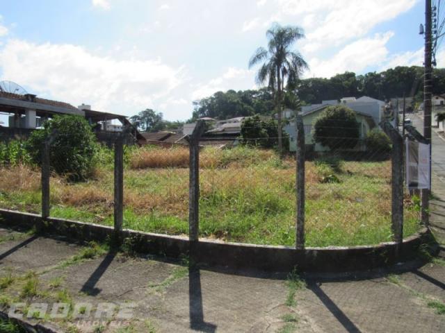 Terreno em blumenau - Foto 3