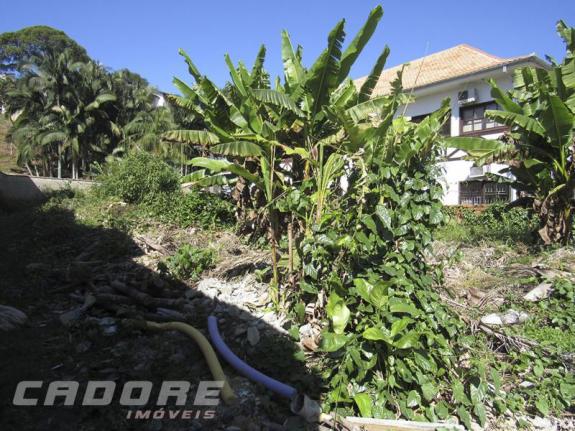 Terreno - Foto 4