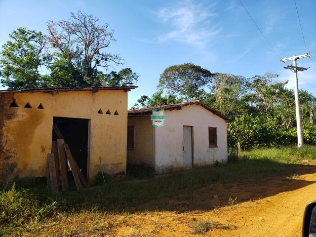 Ubaitaba. Fazenda com 140 Hectares. Mista de cacau e gado - Foto 8