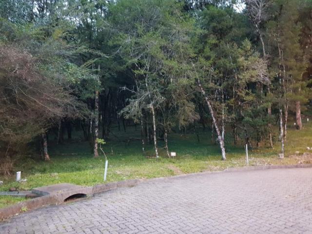 Terreno à venda, 737 m² por r$ 165.000,00 - caracol - canela/rs