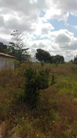 Área para Construção de Condomínio ou Chácara