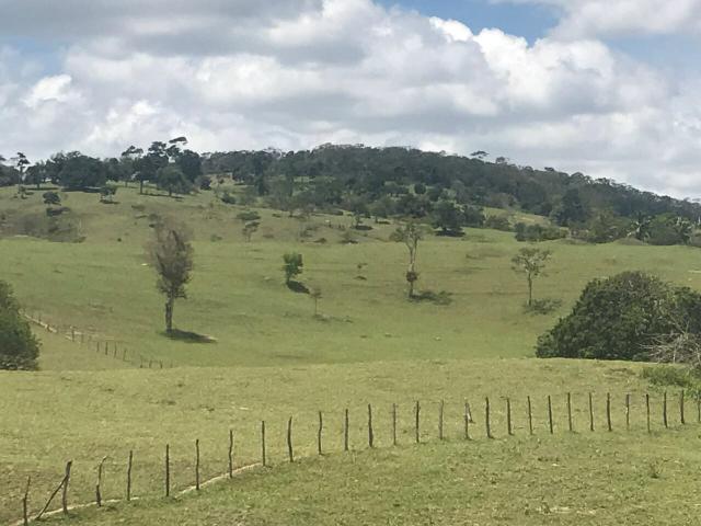 Fazenda pronta em Amargosa - Foto 7