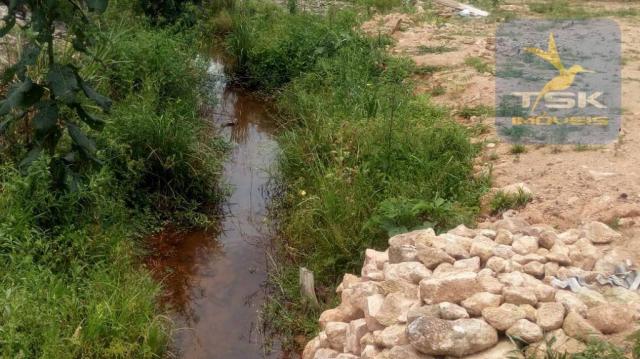 Chácara Lagoa dos Ferreira Mandirituba. CH0289 - Foto 9