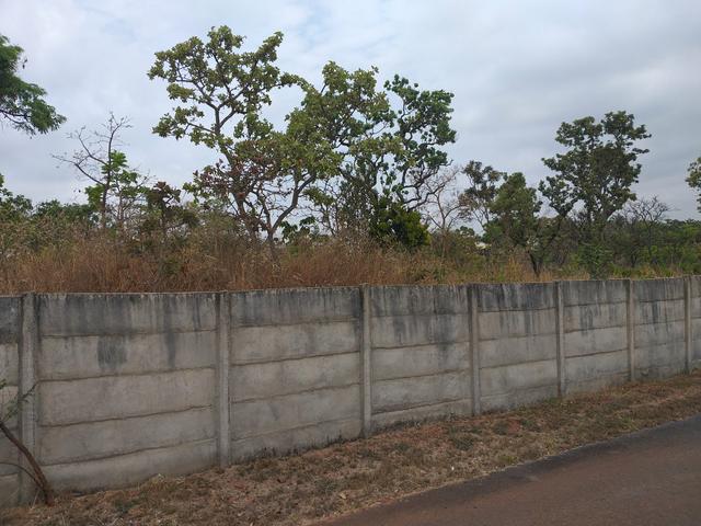 Wilson Vende | Chácara no Lago Sul | Shis QI 23 | 10.756 m2 | Oportunidade - Foto 4