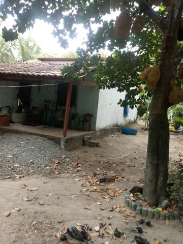 Venda de sitio - Foto 5