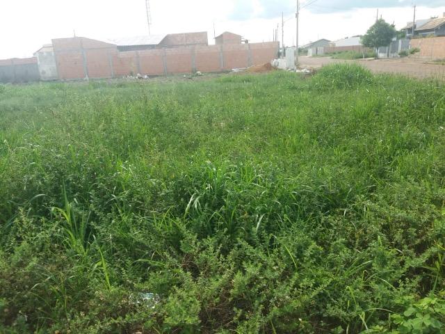 Terreno - Foto 2