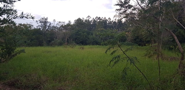 Lote de 20.000m2, Dr Camargo - Pr, R$ 700.000,00 - Foto 3