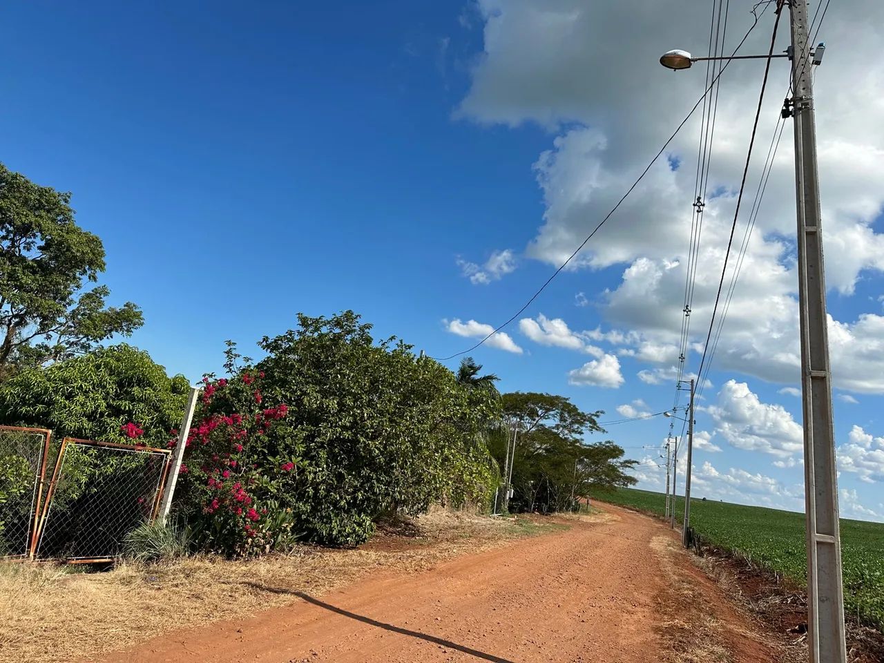 foto - Londrina - Catuai