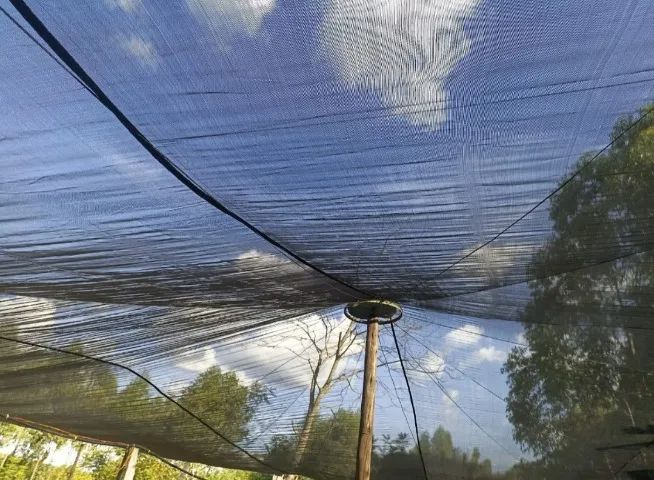 Tela de Proteção (Ilhós) p/ Caçambas, Hortas, Tanques, Sombreamento 14 x 4 - Foto 2