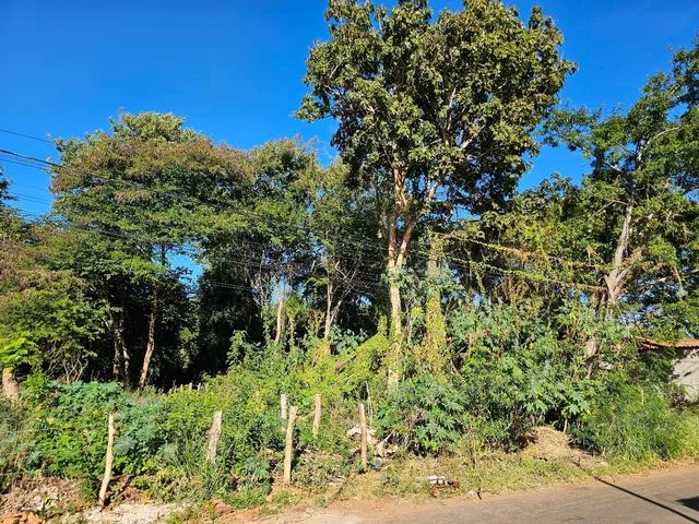 Lote jardim Vila Boa - Foto 2