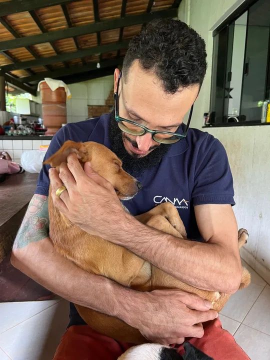 Cachorro Carinhoso Procurando Lar - Foto 2