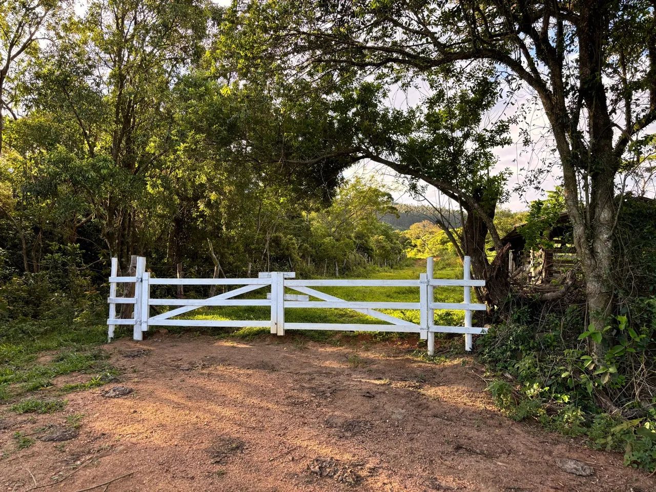 2 HECTARES LINDA VISTA! ACEITO TROCA - PERTO DO CENTRO! - Foto 9
