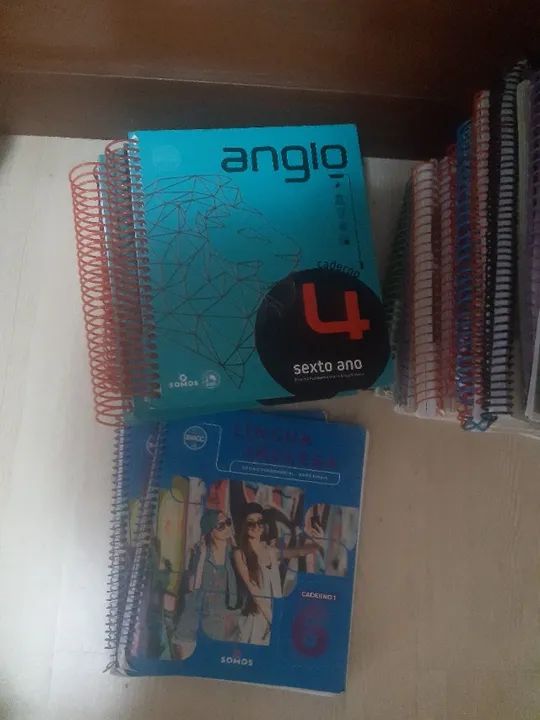 Kit anglo 6 ano 