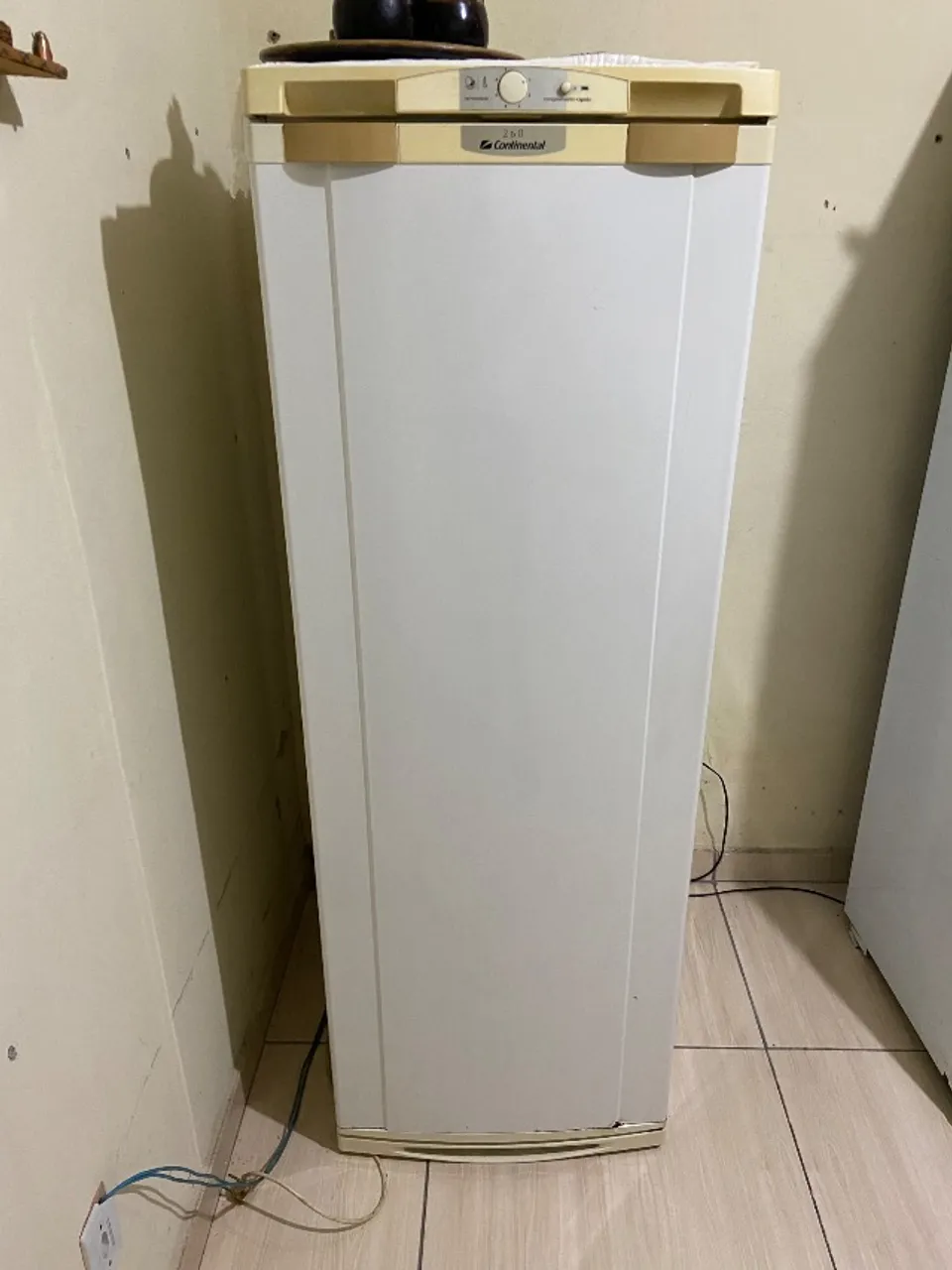 Freezer vertical
