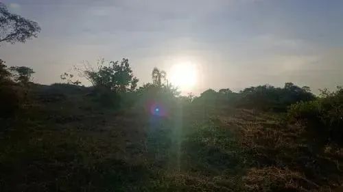 Terreno com linda vista  Sítios Primavera - Jarinu - SP - 5.000m2 - Foto 5