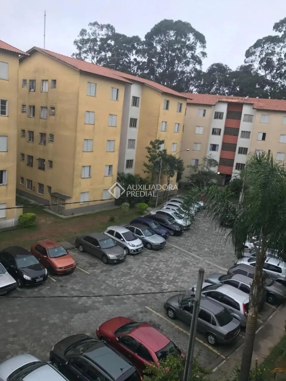 APARTAMENTO - DIADEMA - CAMPANARIO - Foto 3