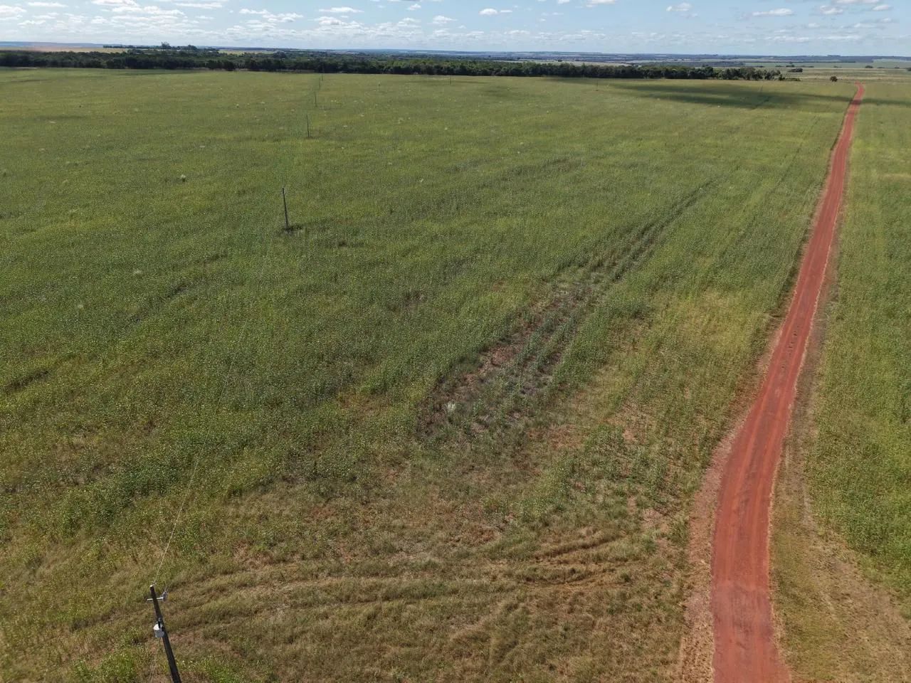 Fazenda de arrendamento 600hec em Canarana MT. - Foto 5