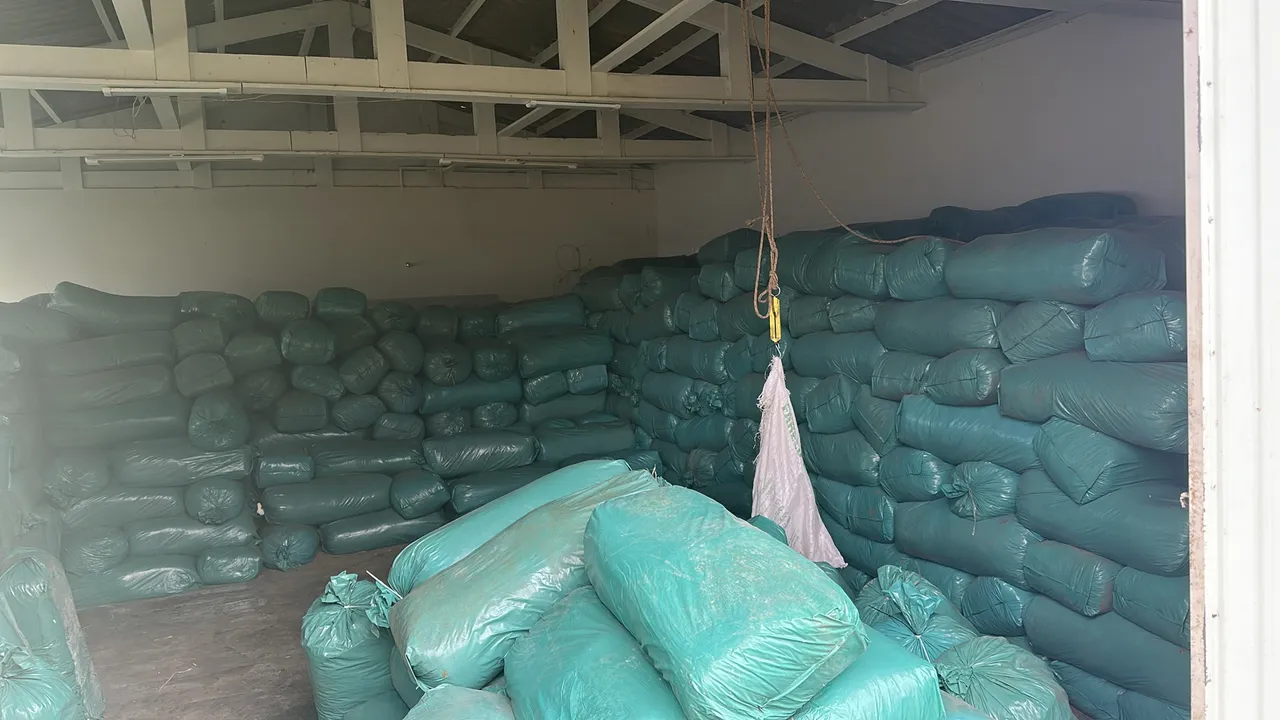Silagem de milho ensacada R$0,50 o kg