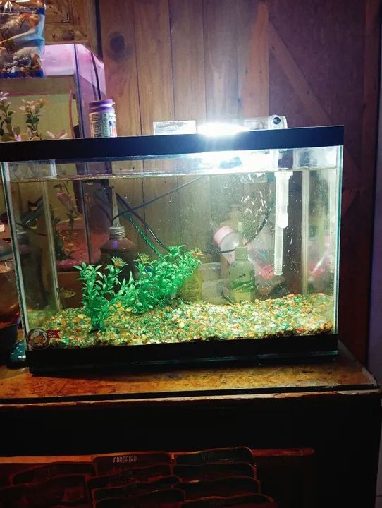 Aquário completo 