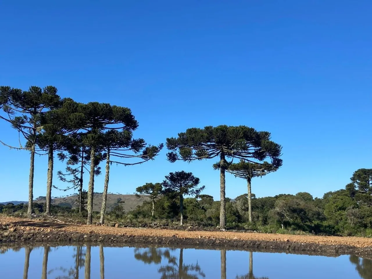 Terrenos em Urubici - a partir R$ 199 mil.