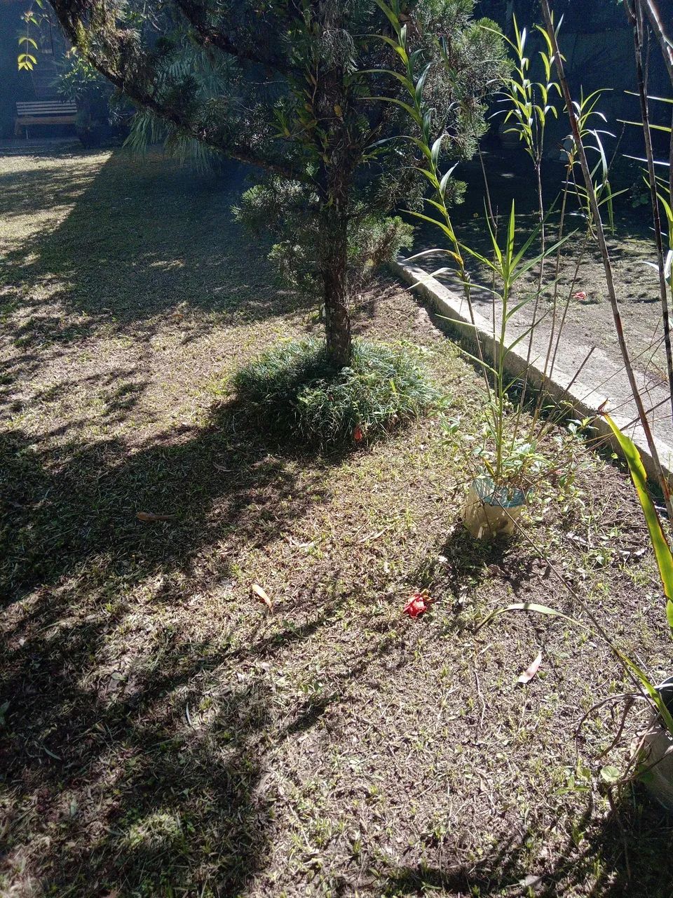 Chacara no embu guaçu  - Foto 5