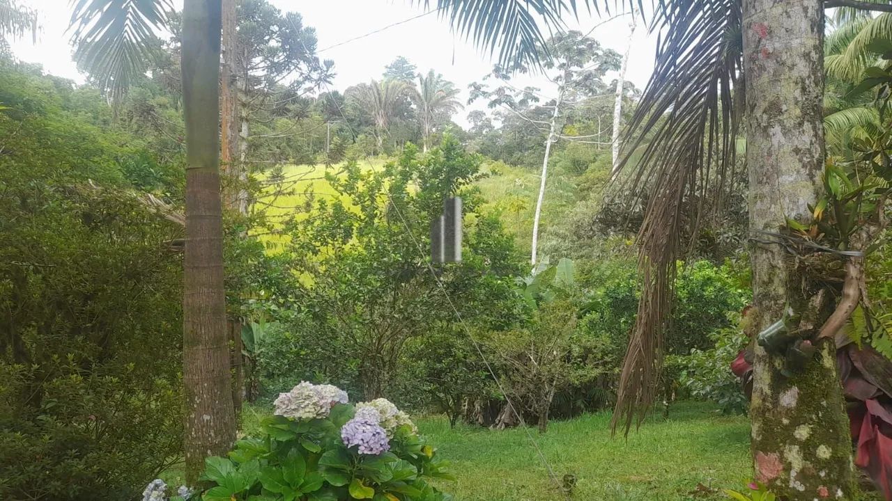 SÍTIO EM RIBEIRÃO DO OURO TAPIRAÍ SP. VENDA - Foto 2