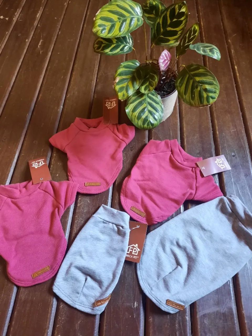 Kit de acessorios para pet shop - Foto 2