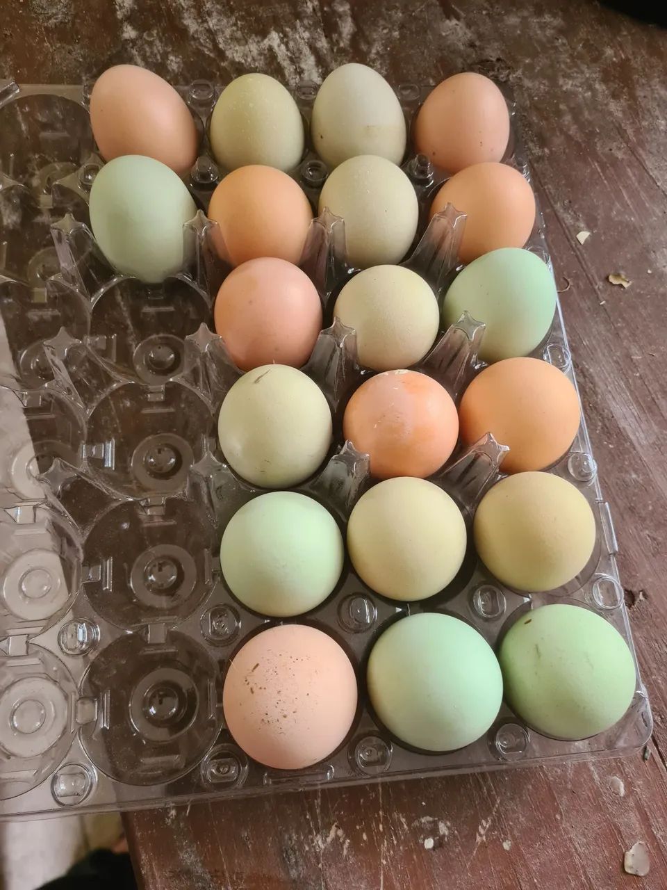 Ovos galados de GSB.