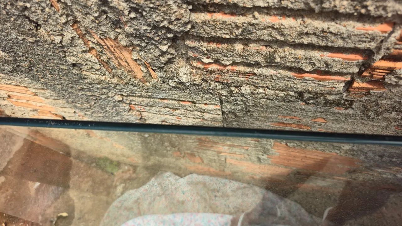 VIDRO TEMPERADO 64418994857347124