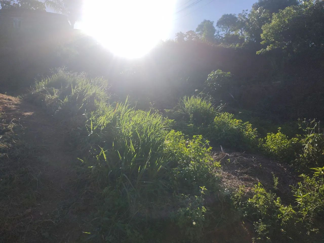 Lindo terreno 