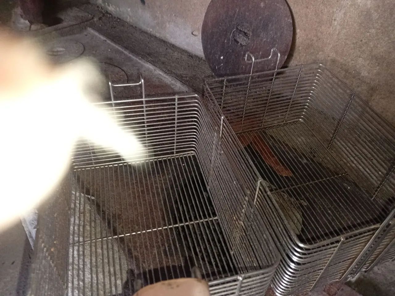 Fritadeira Dupla Industrial - Ótima para Lanchonetes e Restaurantes - Foto 4