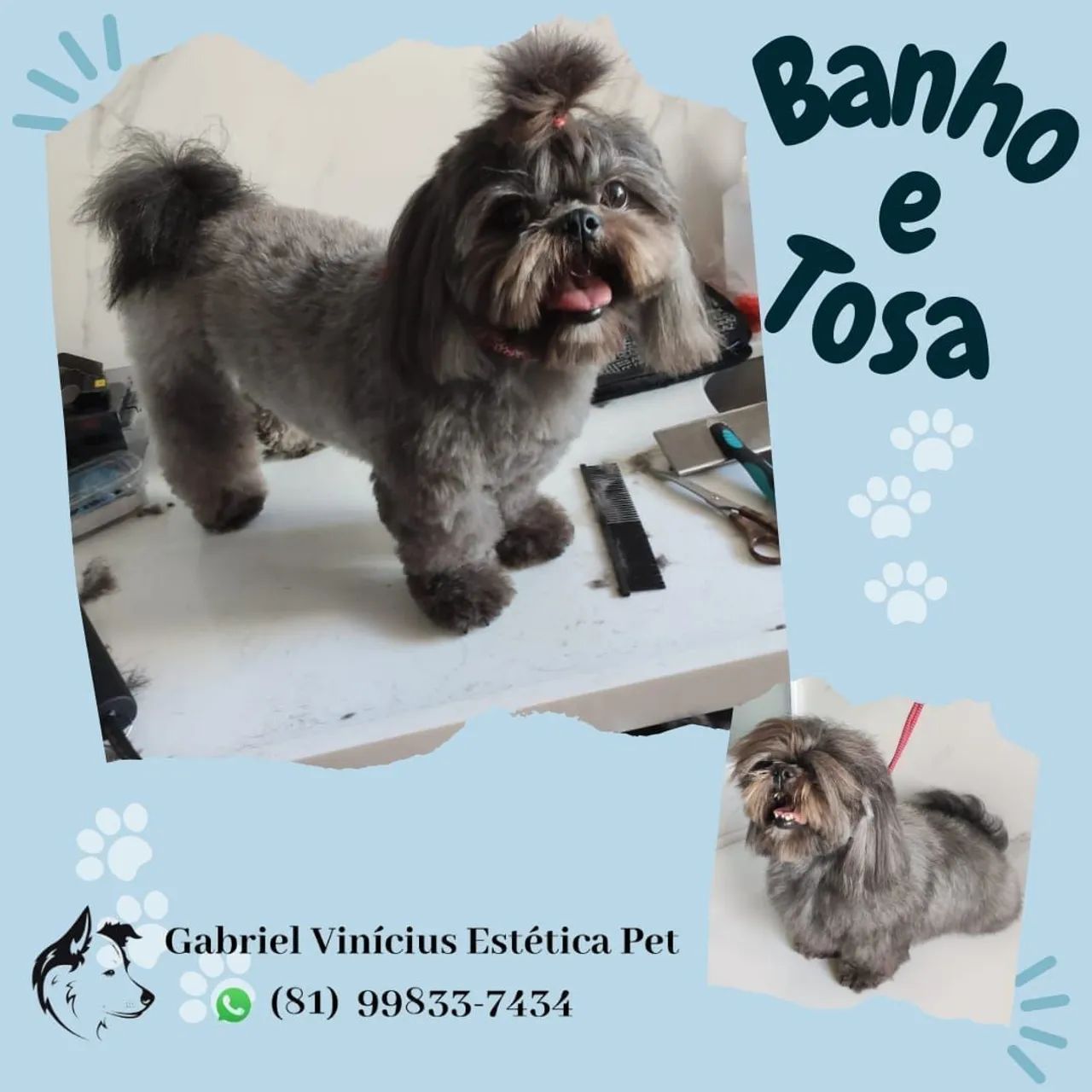 Banho e Tosa em domicílio  - Foto 4