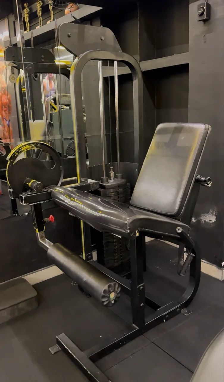 CADEIRA EXTENSORA NAKAGIN 