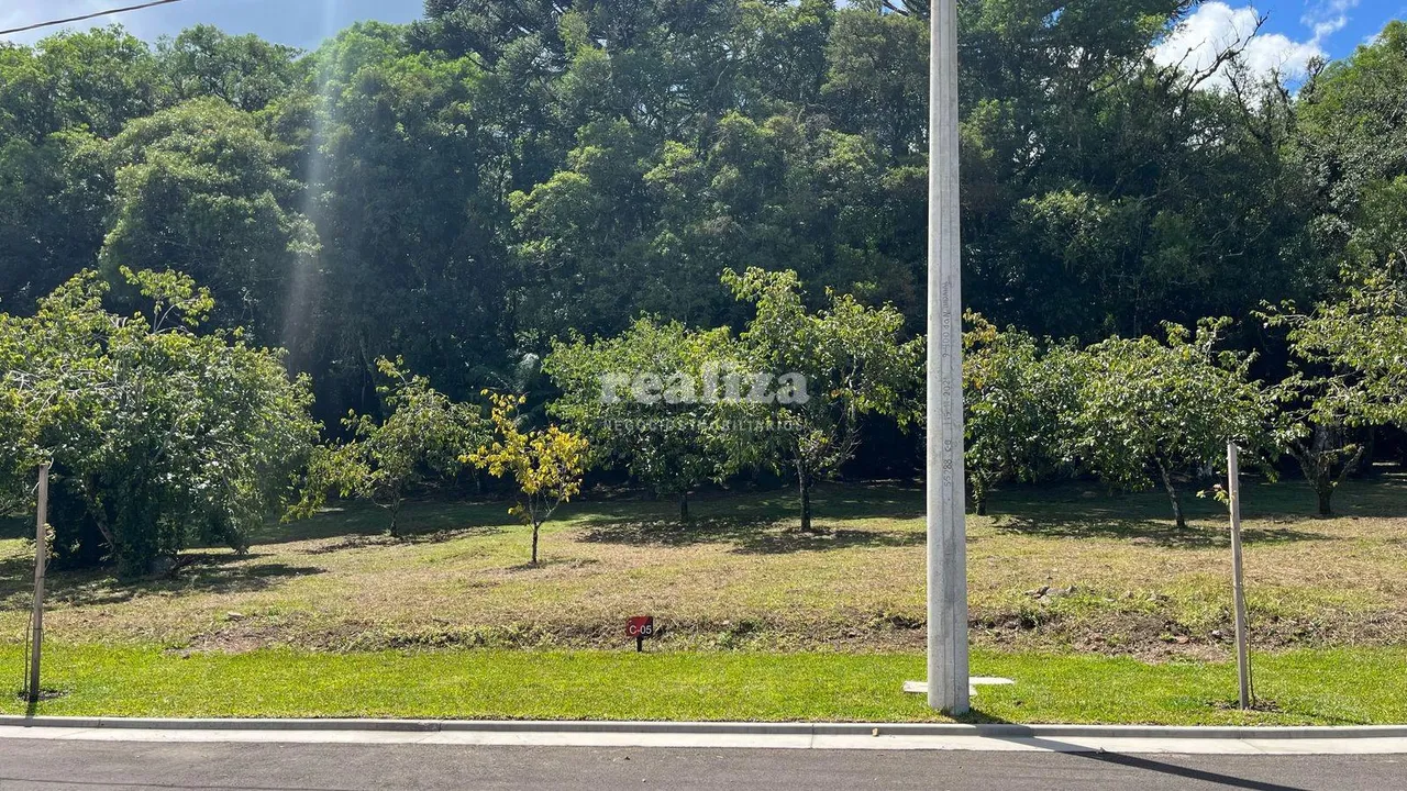 TERRENO EM GRAMADO