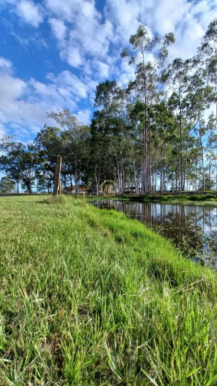 Sítio usado à venda em Nova Santa Rita, Porto da Figueira REF: CS0108 - Foto 6