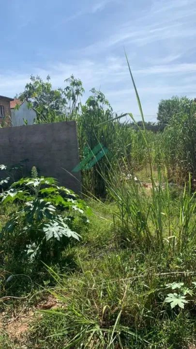 Terreno para Venda em Saquarema, Jaconé (Sampaio Correia) - Foto 4