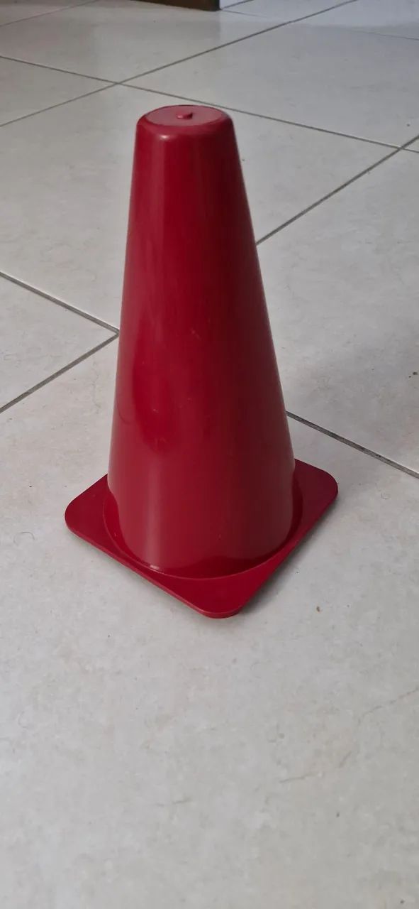 Kit Sanitário Canino Tapete Higiênico c/ Postinho Cone Educador Xixi Pet - Foto 2
