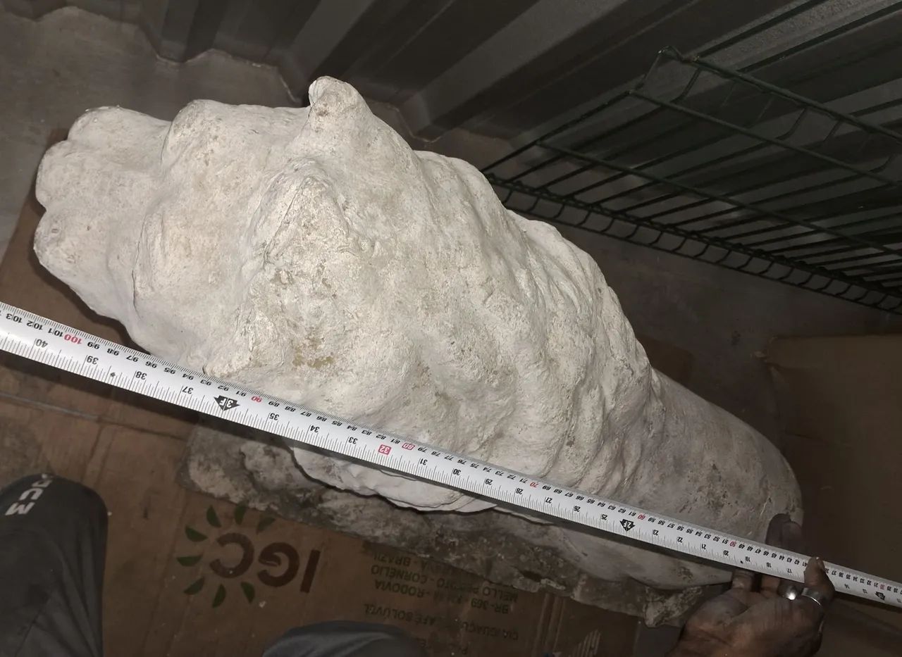 Escultura de Leão em concreto para área externa - Foto 5
