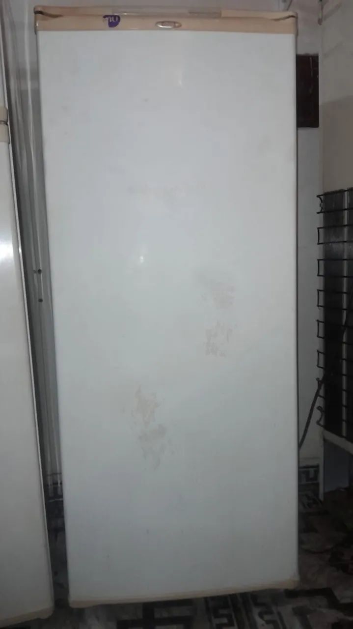 Geladeira 220V